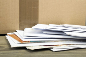 czarny_bez (iStock)